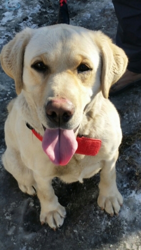 f:id:zion_hamanaka:20161218200529j:image f:id:zion_hamanaka:20161218200529j:image