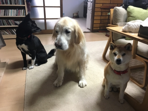 f:id:zion_hamanaka:20161224070249j:image