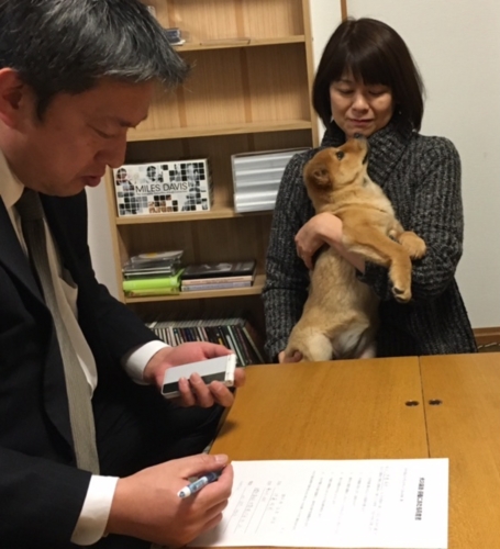f:id:zion_hamanaka:20161224185248j:image