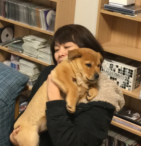 f:id:zion_hamanaka:20161224190729j:image