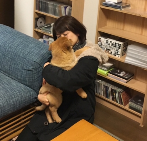 f:id:zion_hamanaka:20161224190730j:image