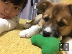f:id:zion_hamanaka:20161227120217j:image