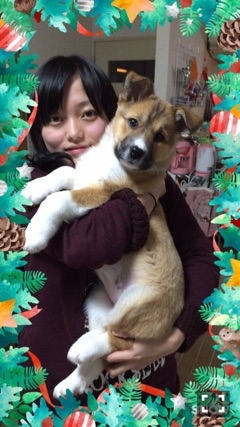 f:id:zion_hamanaka:20161227120221j:image