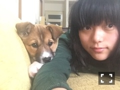 f:id:zion_hamanaka:20161227120224j:image