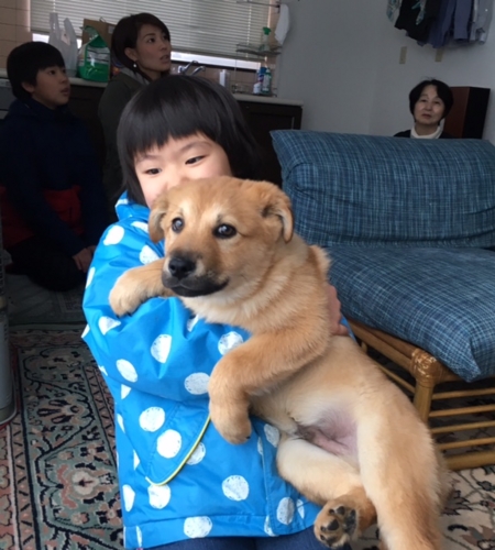 f:id:zion_hamanaka:20170102121552j:image f:id:zion_hamanaka:20170102121552j:image