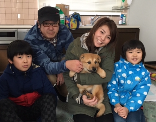 f:id:zion_hamanaka:20170102121709j:image f:id:zion_hamanaka:20170102121709j:image