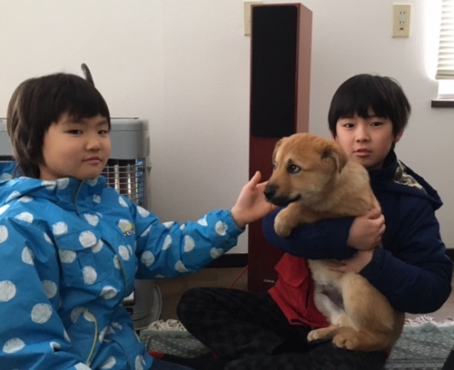 f:id:zion_hamanaka:20170102122429j:image f:id:zion_hamanaka:20170102122429j:image