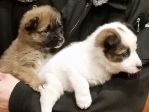 f:id:zion_hamanaka:20170102230415j:image f:id:zion_hamanaka:20170102230415j:image