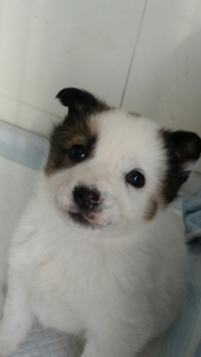 f:id:zion_hamanaka:20170104205844j:image