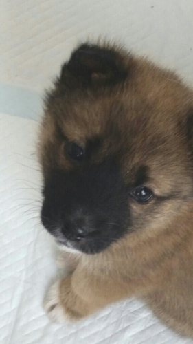 f:id:zion_hamanaka:20170104232635j:image