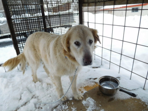 f:id:zion_hamanaka:20170110112214j:image f:id:zion_hamanaka:20170110112214j:image