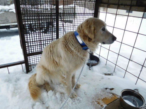 f:id:zion_hamanaka:20170110112226j:image f:id:zion_hamanaka:20170110112226j:image