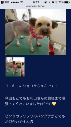 f:id:zion_hamanaka:20170111134454j:image f:id:zion_hamanaka:20170111134454j:image