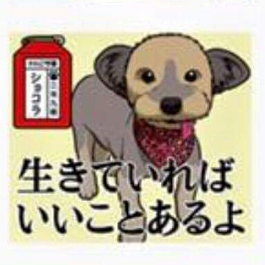 f:id:zion_hamanaka:20170111134456j:image f:id:zion_hamanaka:20170111134456j:image