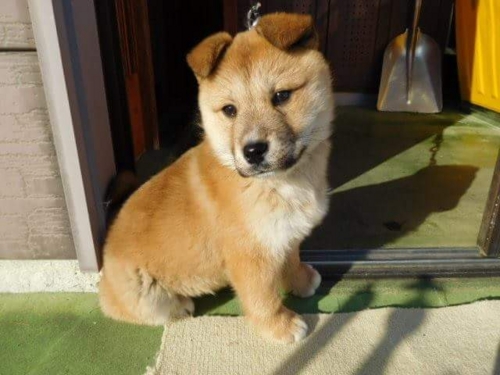 f:id:zion_hamanaka:20170112090640j:image