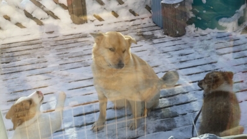 f:id:zion_hamanaka:20170124085545j:image