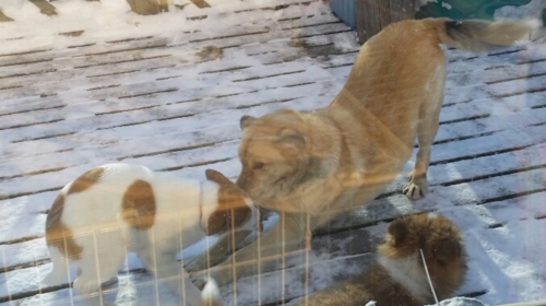 f:id:zion_hamanaka:20170124085620j:image