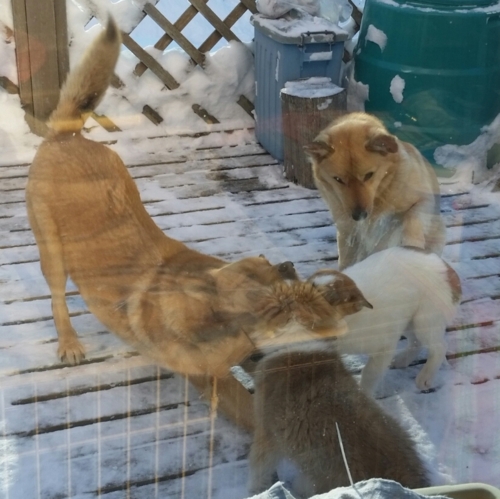 f:id:zion_hamanaka:20170124085910j:image