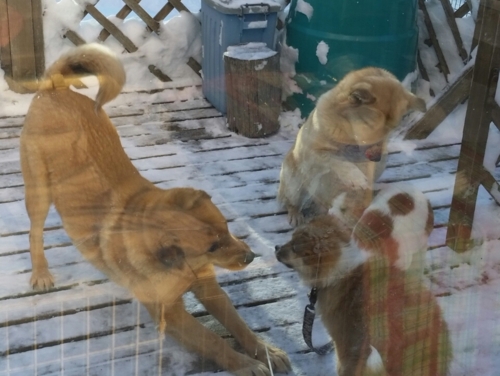 f:id:zion_hamanaka:20170124090005j:image