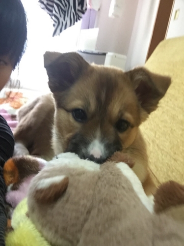 f:id:zion_hamanaka:20170125124748j:image f:id:zion_hamanaka:20170125124748j:image