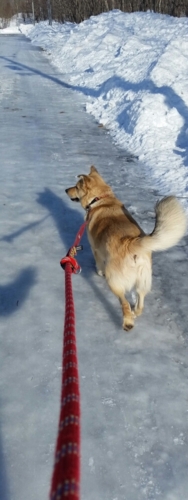 f:id:zion_hamanaka:20170128153303j:image