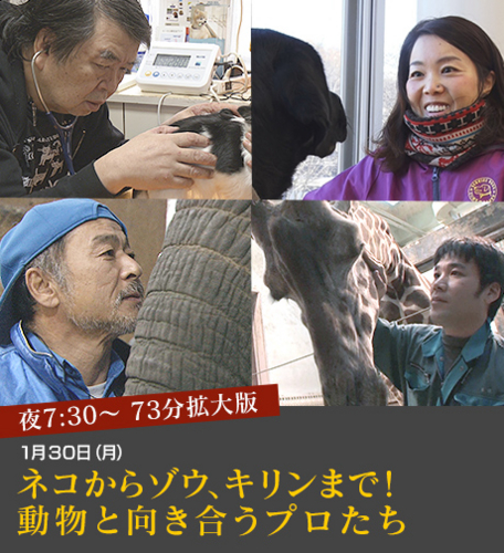 f:id:zion_hamanaka:20170130120956j:image