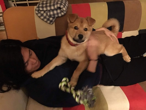 f:id:zion_hamanaka:20170207112346j:image