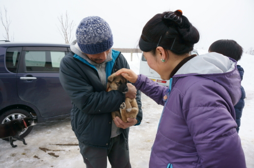 f:id:zion_hamanaka:20170211141031j:image f:id:zion_hamanaka:20170211141031j:image