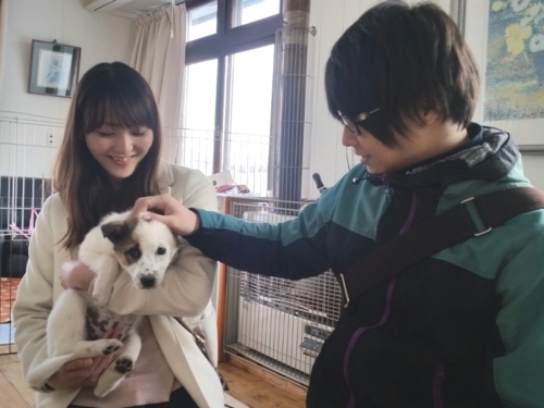 f:id:zion_hamanaka:20170220132322j:image