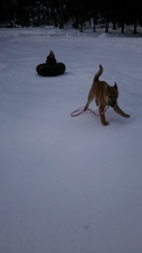 f:id:zion_hamanaka:20170222120811j:image