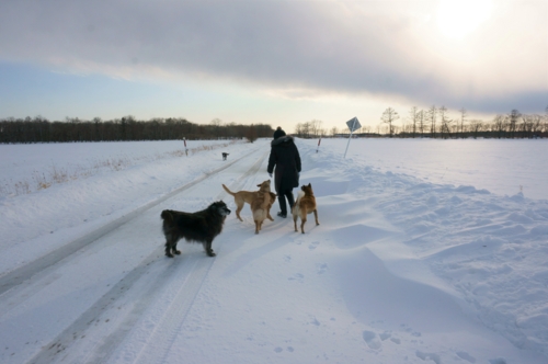 f:id:zion_hamanaka:20170304155331j:image