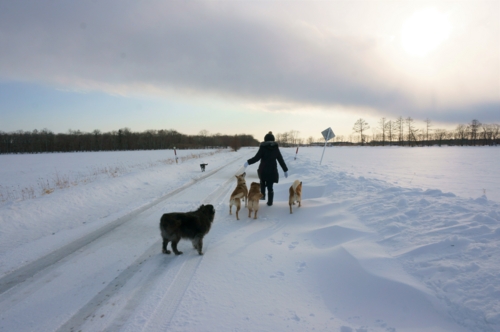 f:id:zion_hamanaka:20170304155333j:image