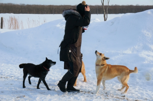 f:id:zion_hamanaka:20170304161145j:image