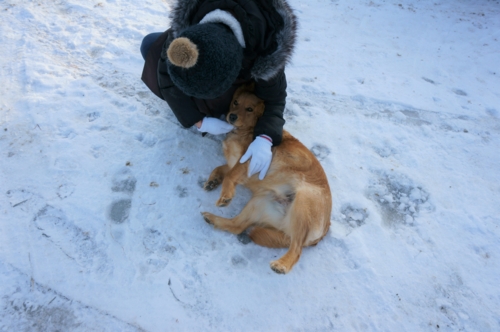 f:id:zion_hamanaka:20170304162446j:image