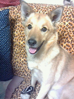 f:id:zion_hamanaka:20170325122606j:image f:id:zion_hamanaka:20170325122606j:image