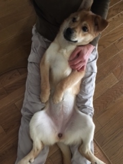 f:id:zion_hamanaka:20170409160838j:image