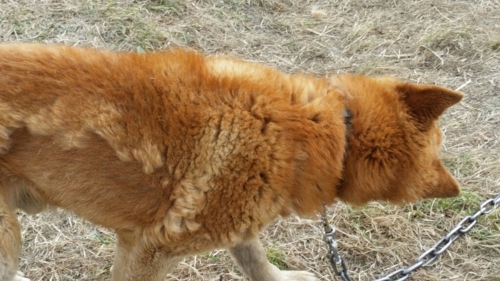 f:id:zion_hamanaka:20170423120439j:image