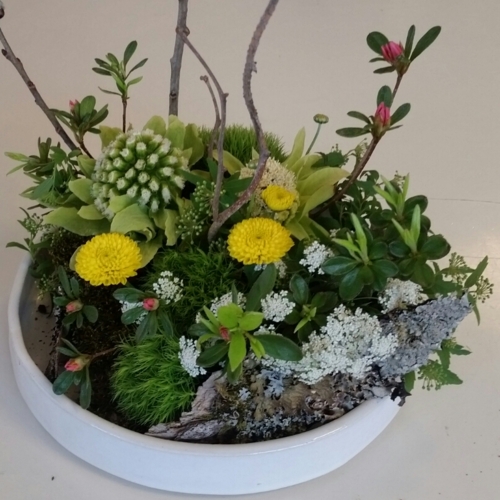 f:id:zion_hamanaka:20170426093046j:image