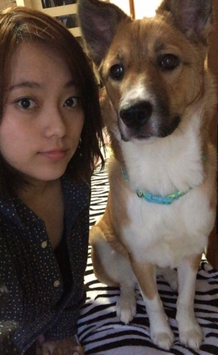 f:id:zion_hamanaka:20170426135150j:image