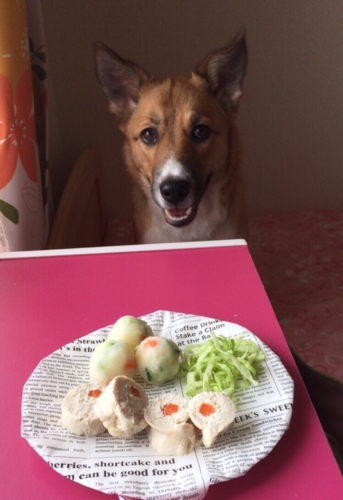 f:id:zion_hamanaka:20170426135151j:image