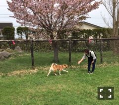 f:id:zion_hamanaka:20170507104646j:image