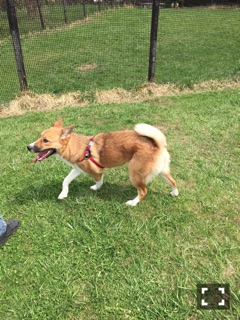 f:id:zion_hamanaka:20170507104647j:image