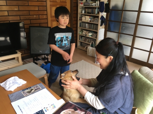 f:id:zion_hamanaka:20170521131453j:image