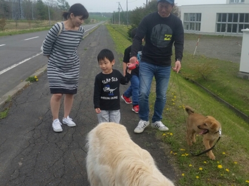 f:id:zion_hamanaka:20170521140312j:image