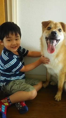 f:id:zion_hamanaka:20170614143734j:image