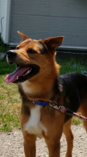 f:id:zion_hamanaka:20170711132722j:image