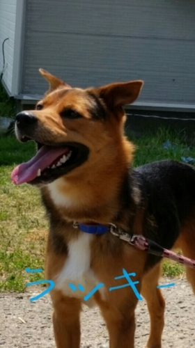 f:id:zion_hamanaka:20170719161751j:image f:id:zion_hamanaka:20170719161751j:image