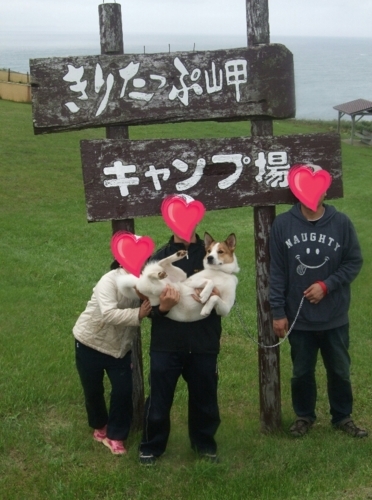 f:id:zion_hamanaka:20170818140331j:image
