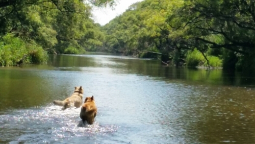 f:id:zion_hamanaka:20170826163538j:image