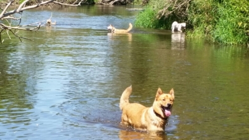 f:id:zion_hamanaka:20170826163604j:image